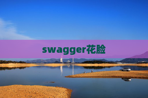 swagger花脸 swagger花脸